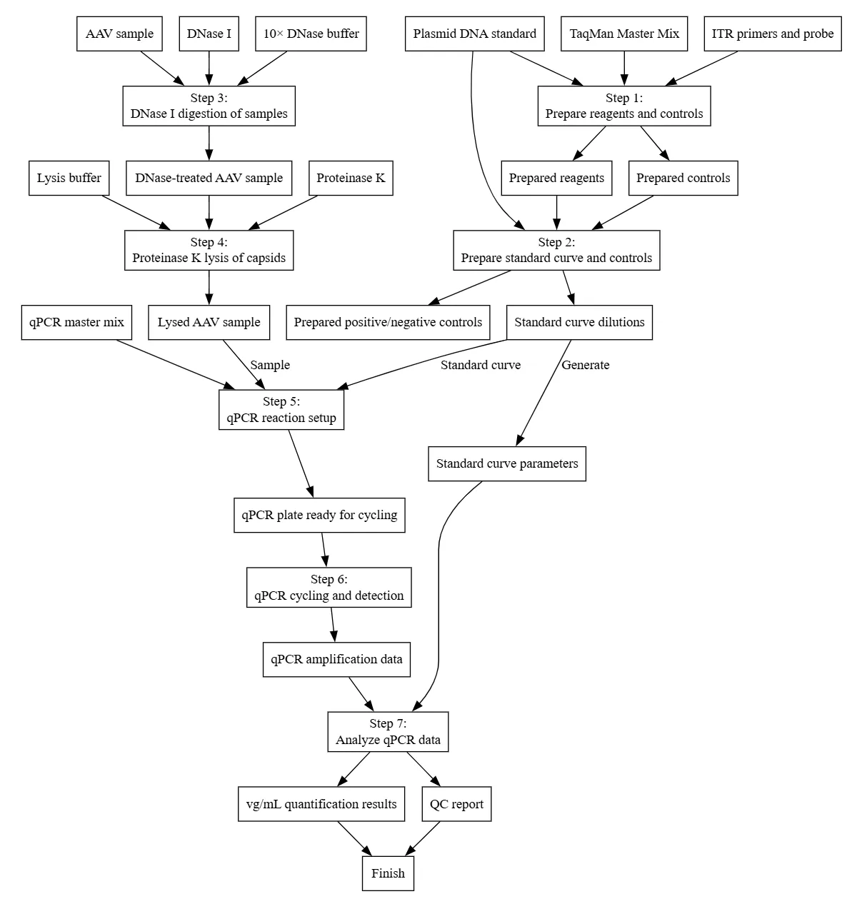 AAV qPCR workflow diagram